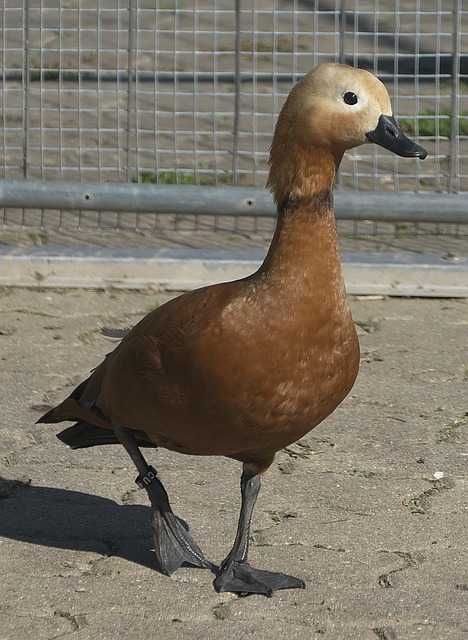 其中