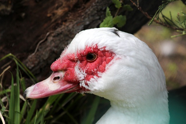 引入一名能 引入一名能