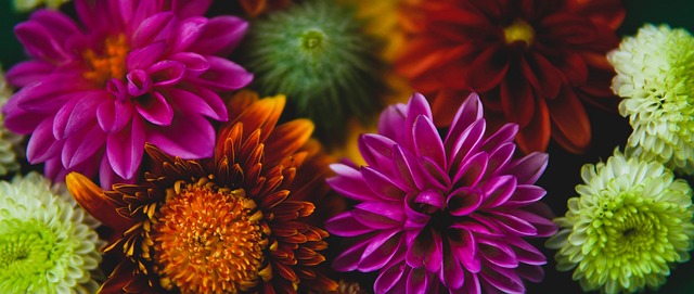 未来策略的 未来策略的