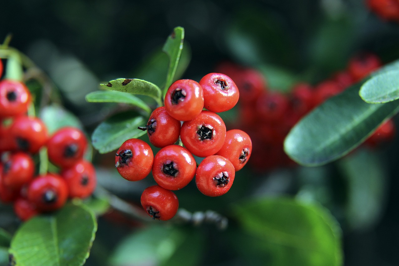 线之路铺平 线之路铺平