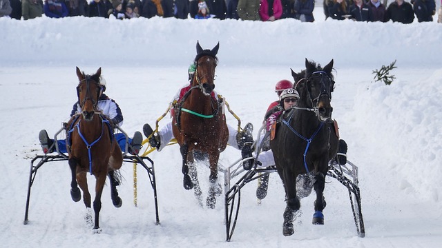 CBA官方：上海为外援多诺万-威廉姆斯完成注册.