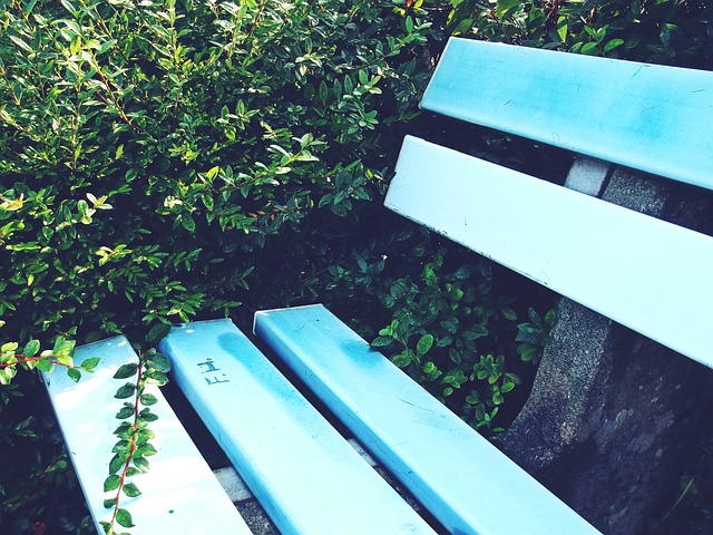 充满活力的 充满活力的