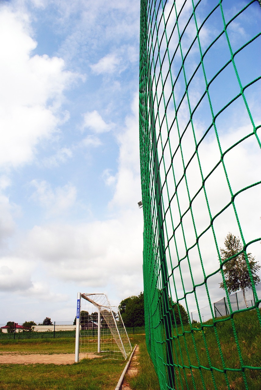 态与多层次 态与多层次