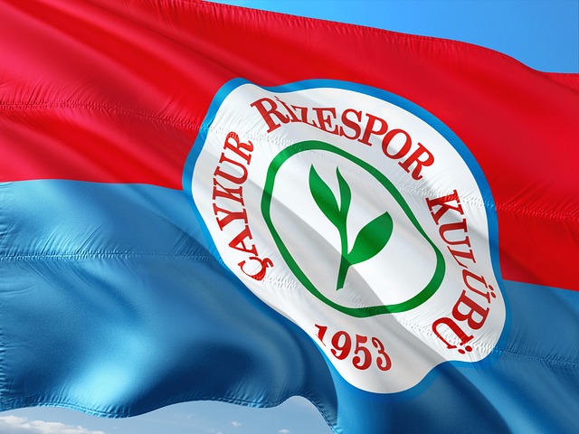 这对即将到 这对即将到